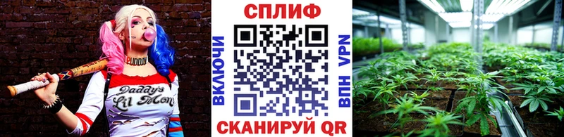 Продажа наркотиков Балашиха Бошки Шишки Меф Амфетамин ГАШИШ Альфа ПВП