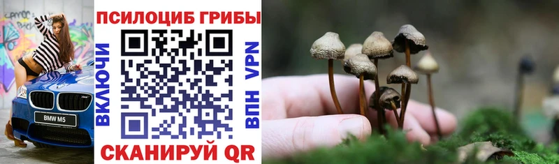 Псилоцибиновые грибы MAGIC MUSHROOMS  Балашиха 