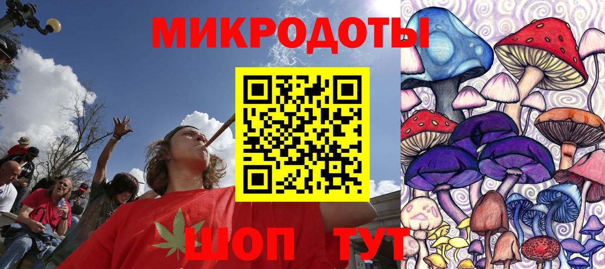Псилоцибиновые грибы Cubensis Балашиха