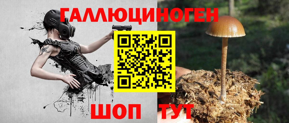 продажа наркотиков  Псилоцибиновые грибы MAGIC MUSHROOMS  Балашиха  Вход с VPN  Псилоцибиновые грибы Magic Shrooms 