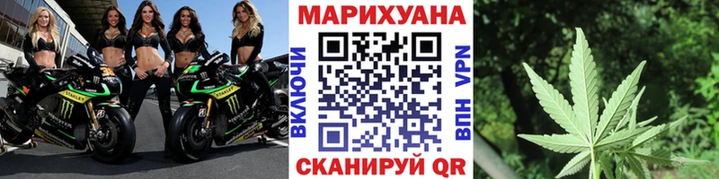 Каннабис сатива Балашиха
